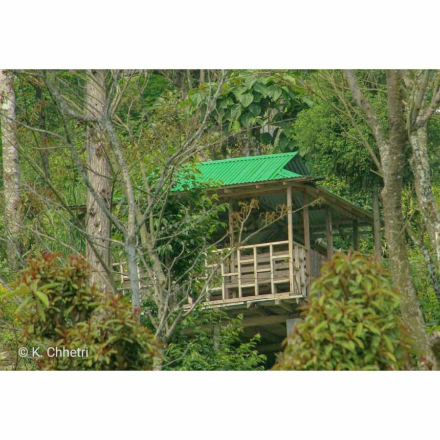 Suma Aavaas Farmstay ดาร์จีลิง ภายนอก รูปภาพ